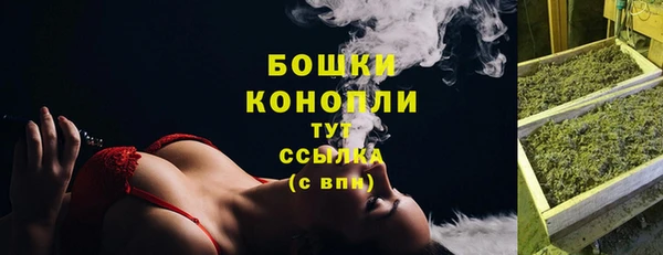 стафф Елабуга