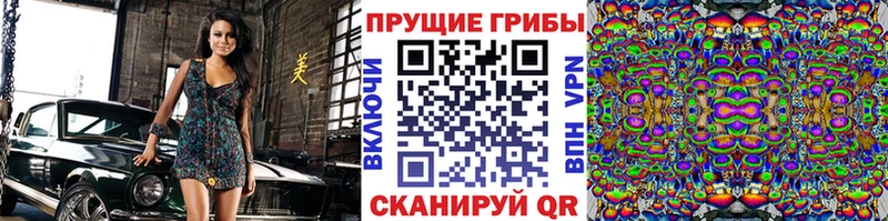 Купить где  Лакинск  Псилоцибиновые грибы Psilocybine cubensis 